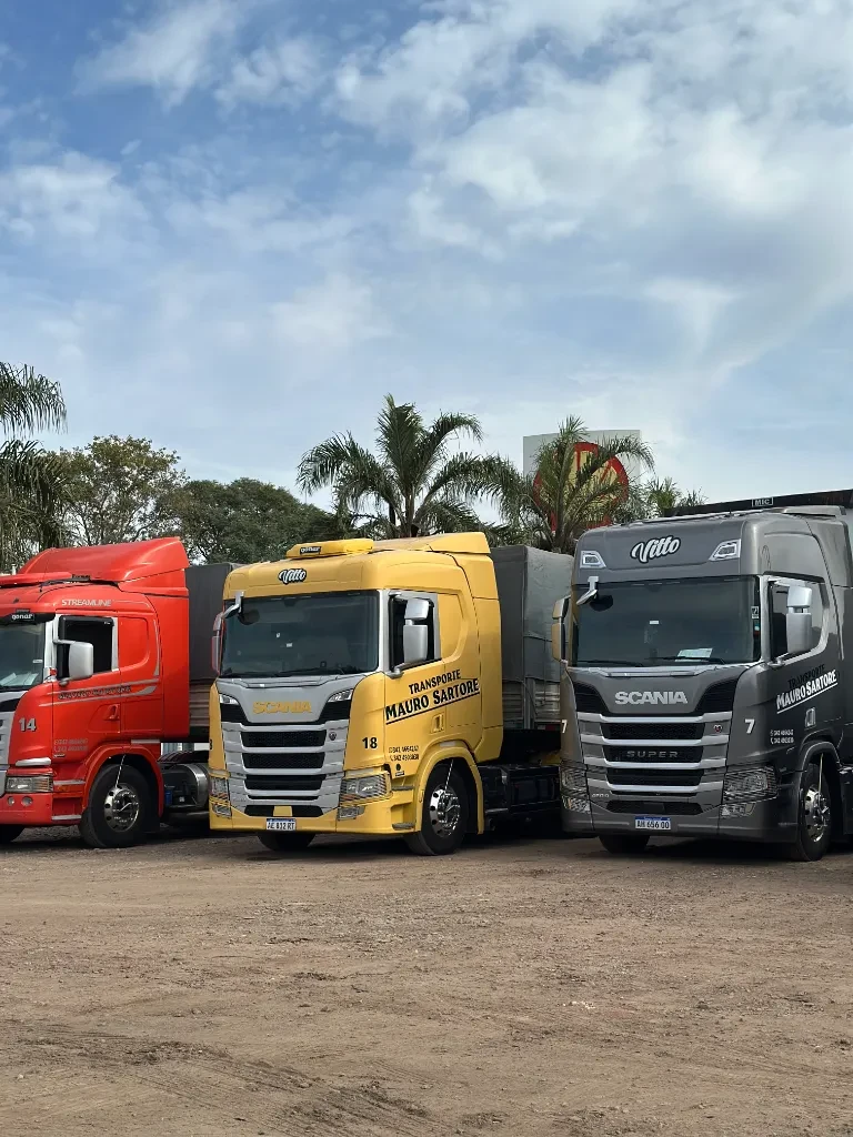Flota de camiones pesados de Transporte Mauro Sartore en base operativa